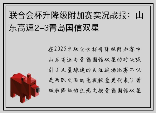 联合会杯升降级附加赛实况战报：山东高速2-3青岛国信双星
